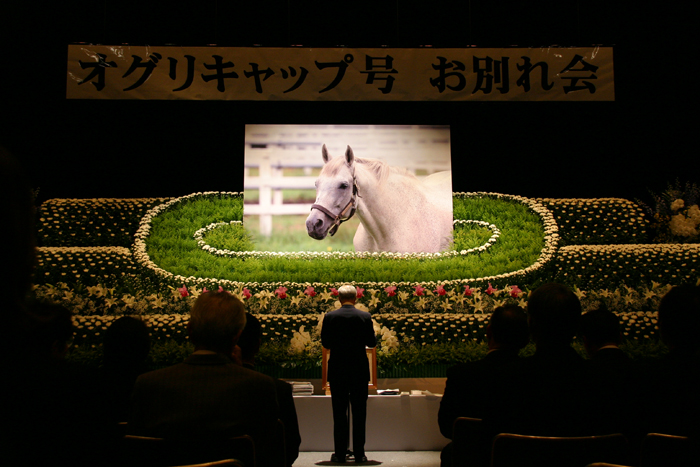 ありがとうオグリ、安からに～オグリキャップ号お別れ会: 新冠だより